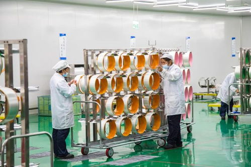 聚焦黄石 电子产品焕发新活力“化茧成蝶”借智振翅一跃